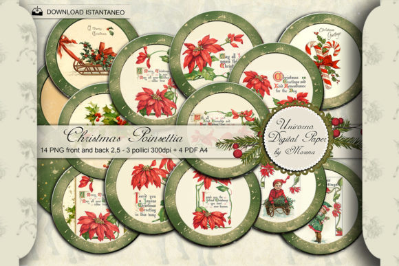 Christmas Poinsettia Circles Images for Editorial and Web Design
