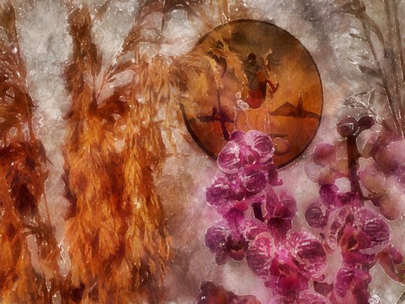 Orchid Paintings for Christmas Illustrations